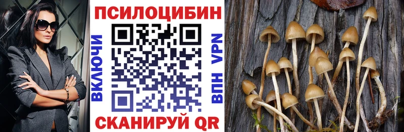 кракен ССЫЛКА  Фёдоровский  shop телеграм  где купить   Псилоцибиновые грибы Cubensis 